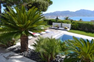 Jardin ensoleillé avec palmiers, piscine et vue sur la mer.