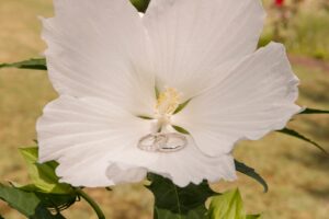 alliances-or-blanc
