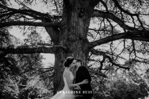 arbre-gigantesque-dans-parc