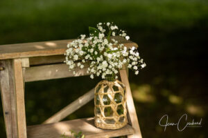 bois-et-gypsophile