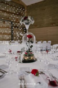 deco-table-theme-belle-et-la-bete