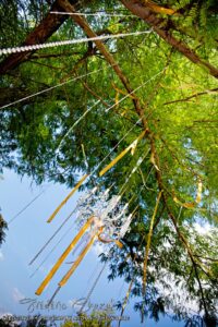 decoration-arbre-rubans-gole-la-dolce-vita-occitanie