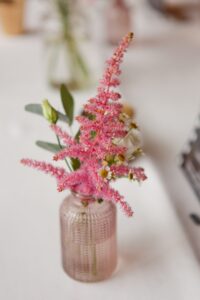 fleurs-des-champs