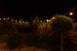 guinguettes-dans-les-arbres