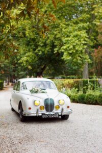 jaguar-ancienne