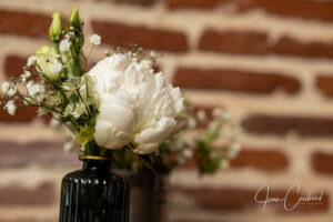 pivoine-et-vase-vintage