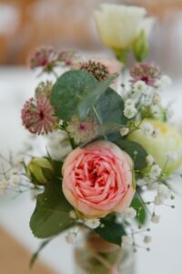 rose-ancienne-et-eucalyptus
