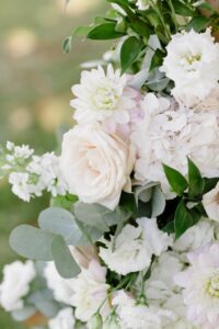 rose-orthensias-et-eucalyptus