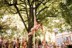 surprise-pole-dance-mariage